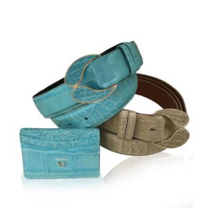 2-Belt-and-Credit-Accessories